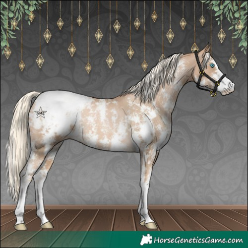 Horse Color:Chocolate Palomino Pearl Sabino Appaloosa Rabicano and Chocolate Palomino Pearl Sabino Appaloosa Rabicano