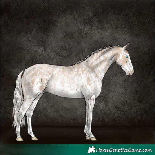 Horse Color:Chocolate Palomino Pearl Sabino Appaloosa Rabicano and Chocolate Palomino Pearl Sabino Appaloosa Rabicano
