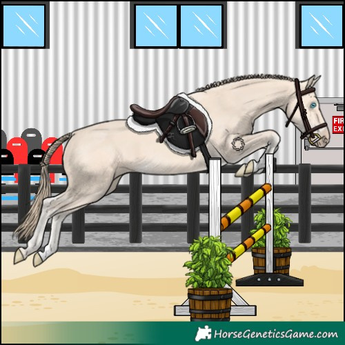 Horse Color:Perlino 
