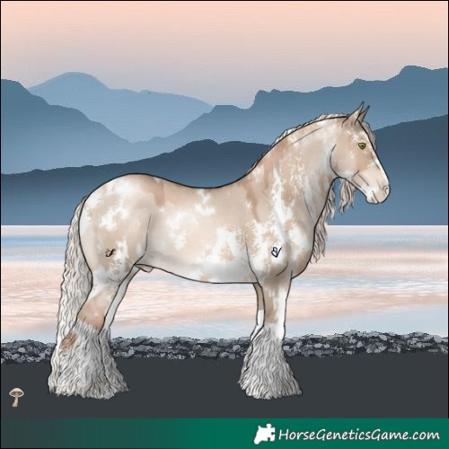 Horse Color:White Spotted Liver Red Dun Pearl Mushroom Splash Tobiano Varnish Rabicano  and Chocolate Palomino Pearl Sabino Rabicano 