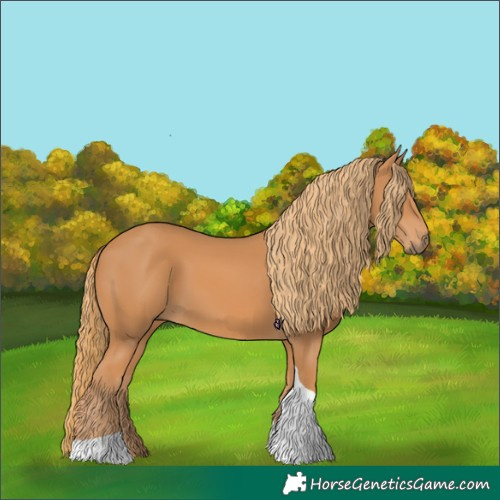 Horse Color:Unknown 
