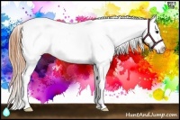 Horse Color:White Spotted Buckskin Ice Splash Appaloosa 