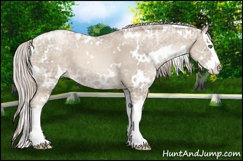 Horse Color:White Spotted Chocolate Palomino Ice Pearl Splash 