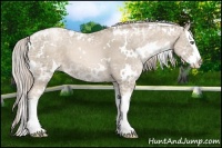 Horse Color:White Spotted Chocolate Palomino Ice Pearl Splash 