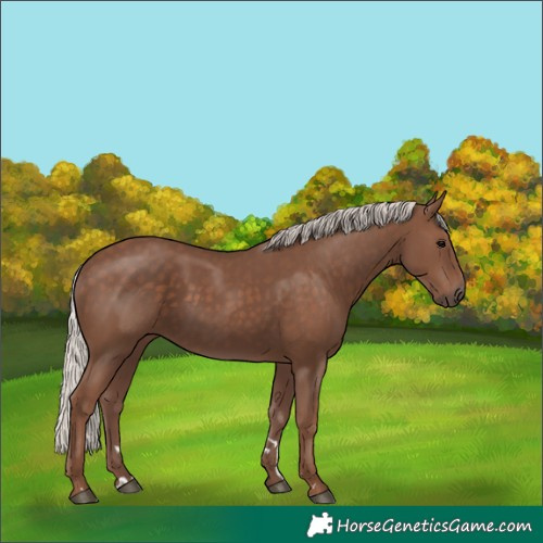 Horse Color:Silver Black 