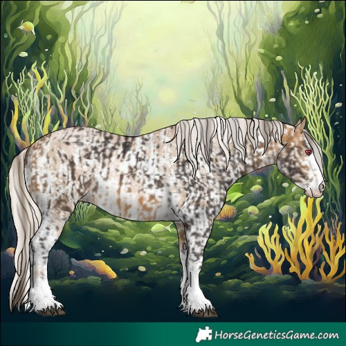 Horse Color:White Spotted Brown Tobiano Snowflake VarnishRabicano  and Chocolate Palomino Pearl Sabino Varnish Rabicano 