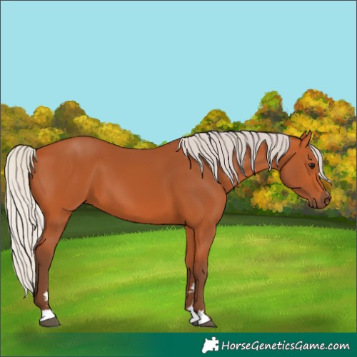 Horse Color:Silver Bay