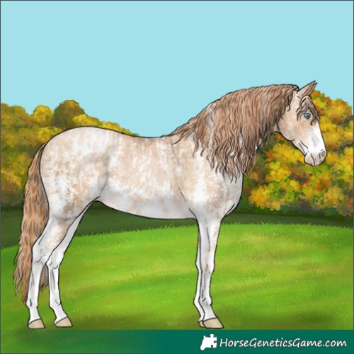 Horse Color:Chocolate Palomino Pearl Sabino Varnish Rabicano  and Buckskin Pearl Sabino Varnish Rabicano 