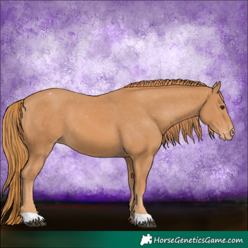 Horse Color:Chestnut Varnish
