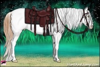 Horse Color:White Spotted Bay Ice Pearl Splash Varnish 