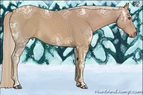 Horse Color:Palomino Ice 