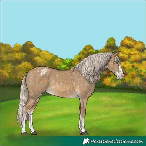 Horse Color:Chocolate Palomino Dun Snowflake Varnish  and Chocolate Palomino Dun Splash Snowflake Varnish 