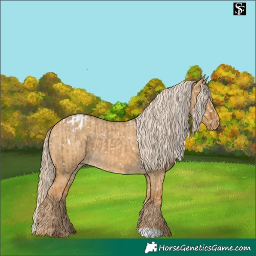 Horse Color:Chocolate Palomino Dun Appaloosa  and Palomino Dun Appaloosa 
