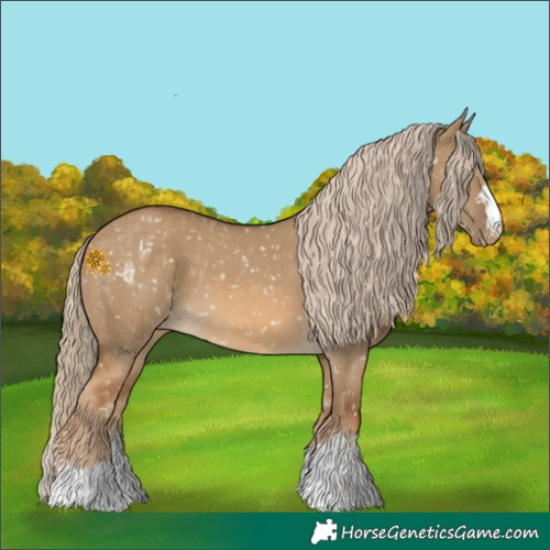 Horse Color:Chocolate Palomino Dun Snowflake Varnish and Chocolate Palomino Dun Snowflake Varnish