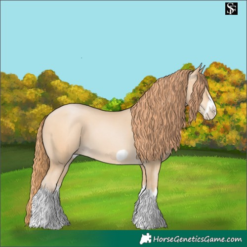 Horse Color:Buckskin Pearl Splash Frame 