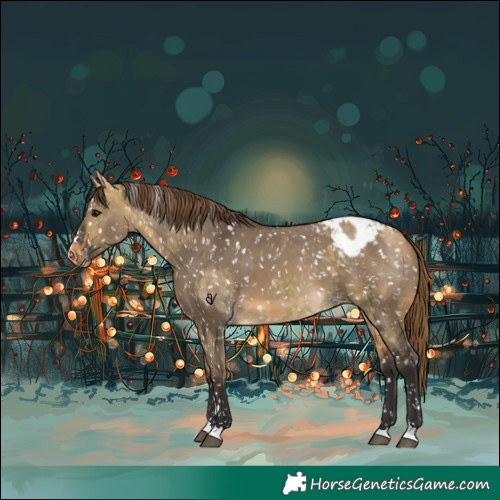 Horse Color:Buckskin Dun Appaloosa  and Buckskin Dun Appaloosa 