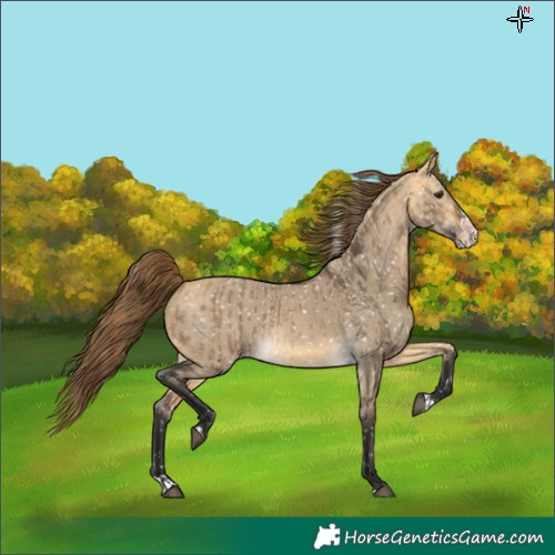 Horse Color:Buckskin Dun Snowflake Varnish and Buckskin Dun Splash Snowflake Varnish