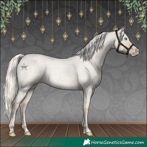 Horse Color:Cremello Roan Dun Appaloosa  and Cremello Roan Dun Appaloosa 