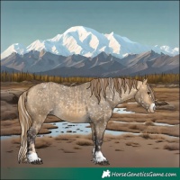 Horse Color:Chocolate Palomino Dun Snowflake Varnish  and Buckskin Dun Snowflake Varnish 