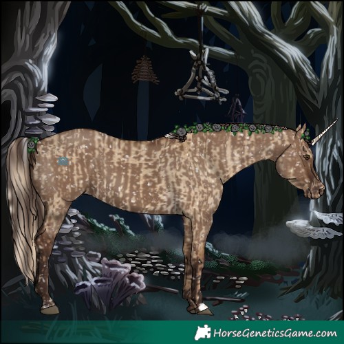 Horse Color:Chocolate Palomino Dun Appaloosa and Liver Red Dun Appaloosa