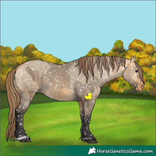 Horse Color:Buckskin Dun Snowflake Varnish and Buckskin Dun Snowflake Varnish Rabicano