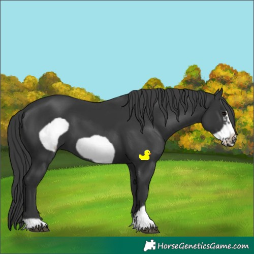 Horse Color:Black Frame