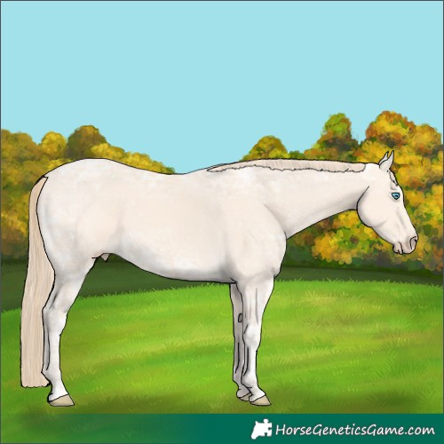 Horse Color:Perlino Ice