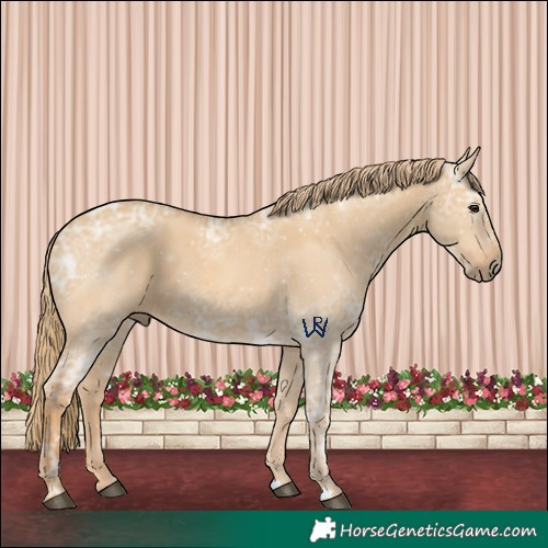 Horse Color:Red Dun Ice 