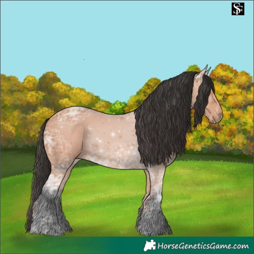 Horse Color:Bay Ice