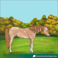 Horse Color:Chestnut Ice Tobiano