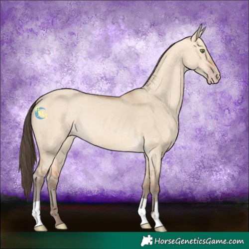 Horse Color:Amber Champagne Dun 
