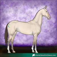 Horse Color:Amber Champagne Dun 