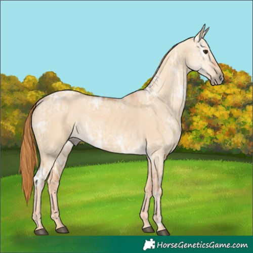 Horse Color:Red Dun Ice