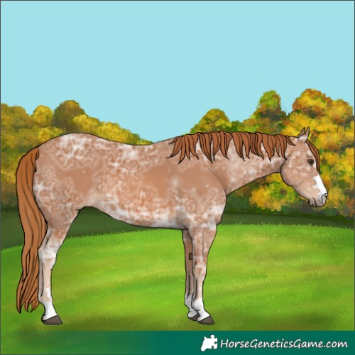 Horse Color:Chestnut Ice 