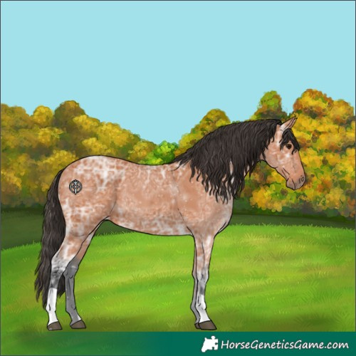 Horse Color:Bay Ice