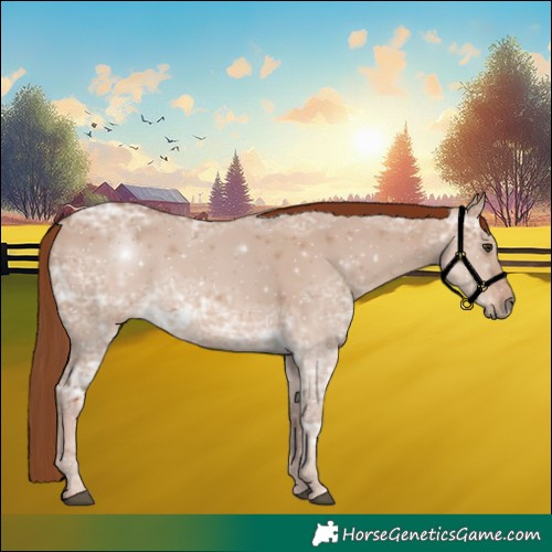 Horse Color:Red Dun Ice 