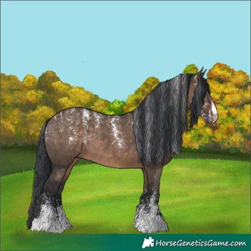 Horse Color:Powder White Brown Dun 