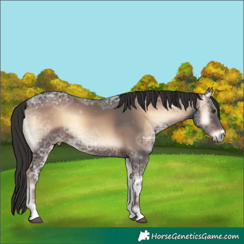 Horse Color:Liver Red Onyx Ice