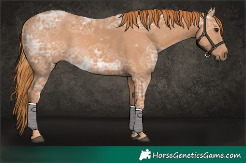 Horse Color:Chestnut Ice 