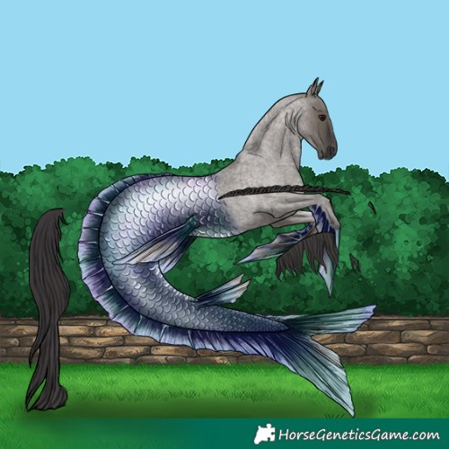 Horse Color:Smoky Grullo Roan 