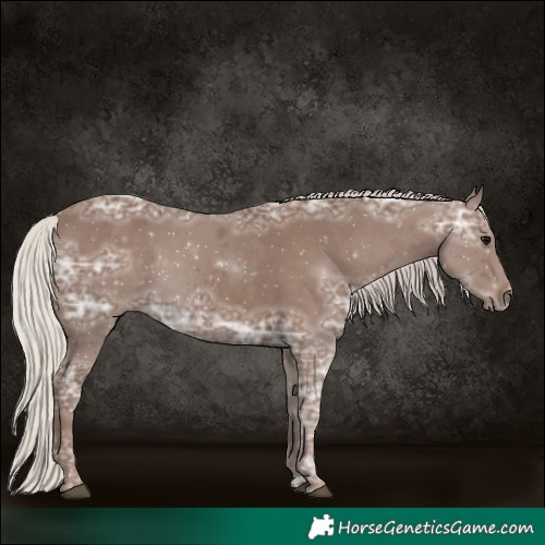 Horse Color:Silver Black Ice 