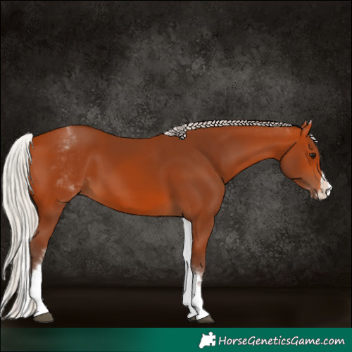 Horse Color:White Spotted Silver Bay Splash 
