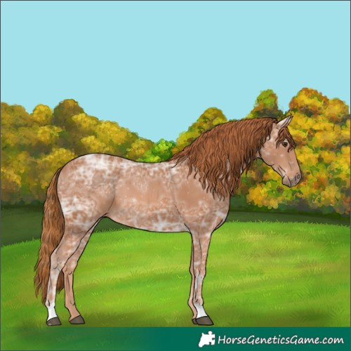 Horse Color:Chestnut Ice 