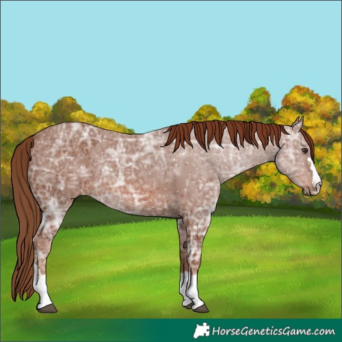 Horse Color:Chestnut Ice 