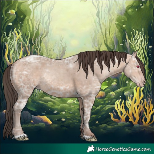 Horse Color:Amber Champagne Ice 