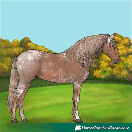 Horse Color:Chestnut Ice 