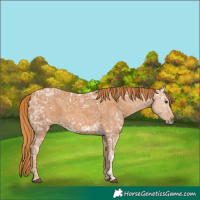 Horse Color:Chestnut Ice 