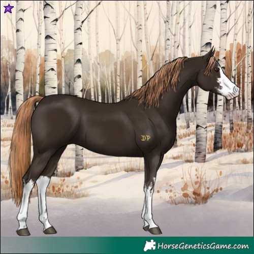 Horse Color:White Spotted Liver Chestnut