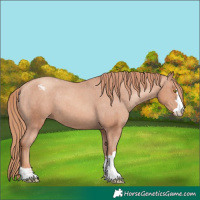 Horse Color:Gold Champagne Varnish