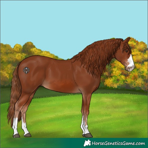 Horse Color:Unknown 